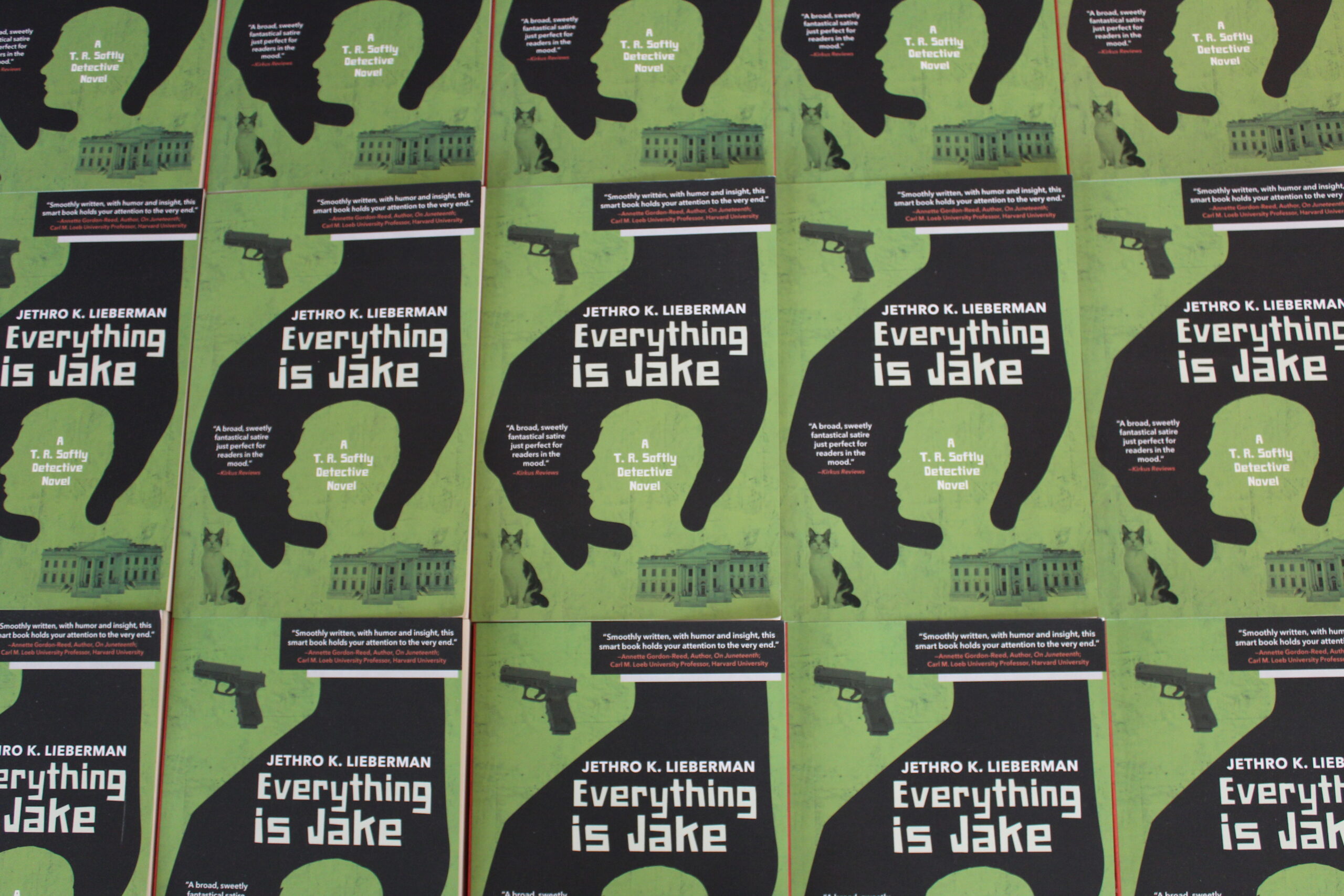 Everything is Jake TR Softly detective novel by Jethro K. Lieberman